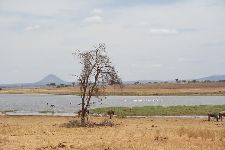 4-Day Northern Tanzania Safari: Tarangire, Serengeti & Ngorongoro