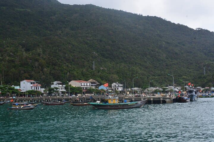 Cham Islands Day Tour: Speed Boat Snorkeling & Beach from Hoi An photo 5