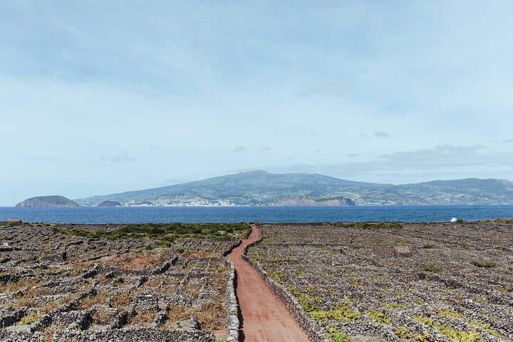 Private Pico Wine Tour (Half Day) — Explore UNESCO Vineyards & Volcanic Terroir photo 2