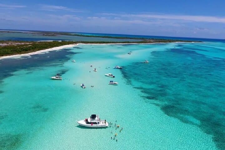 Cozumel 4-Hour El Cielo Snorkel and Reef Boat Tour photo 4