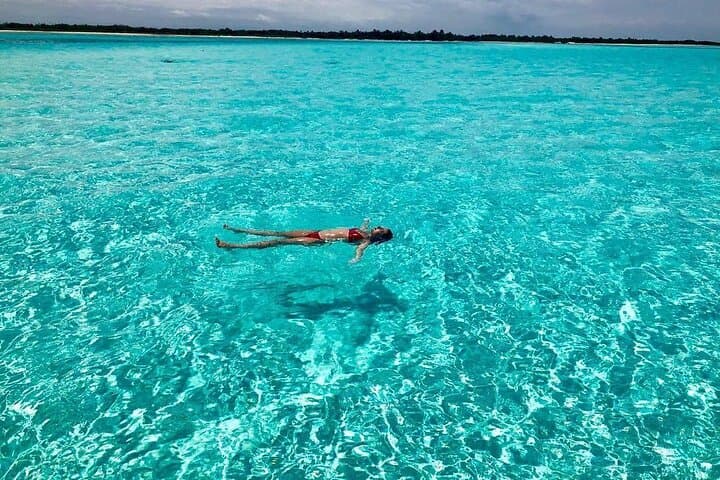 Cozumel 4-Hour El Cielo Snorkel and Reef Boat Tour photo 5