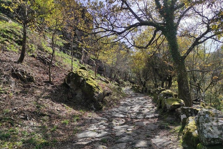 Half-Day Peneda-Gerês Adventure from Porto: Waterfalls, Lagoons & Optional Kartcross photo 6