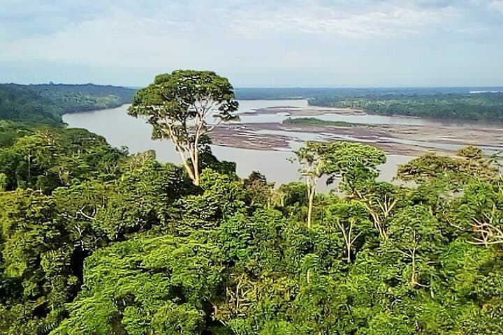 Yasuní and Limoncocha 4-Day Wildlife Adventure — Amazon Wildlife, Clay Licks & Indigenous Culture