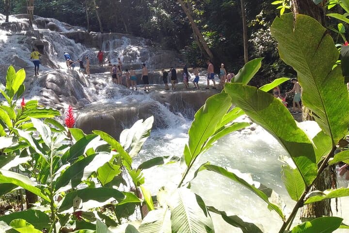 Climb Dunn's River Falls: Falmouth to Ocho Rios Guided Tour