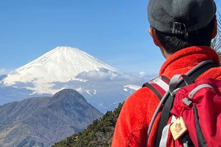 Hakone Caldera Outer Rim Traverse: Ridge Hike, Mt Fuji Views & Onsen