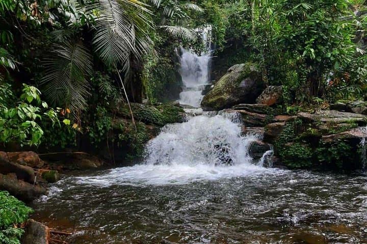 Anakulam Wild Elephant & Tribal Village Jeep Safari from Munnar photo 3