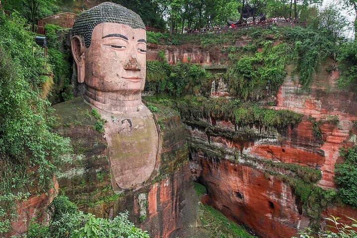 Leshan Giant Buddha and Chengdu Panda Base: Private Day Trip from Chengdu