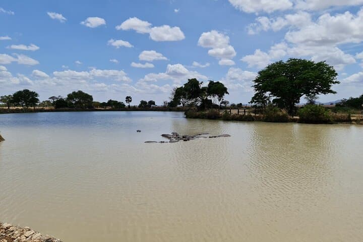 Rufiji River Boat Safari in Nyerere Game Reserve photo 2