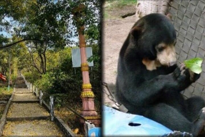 Phnom-Tamao-Wildlife-Sanctuary-and-Chisor-Countryside-Day-Tour photo 1
