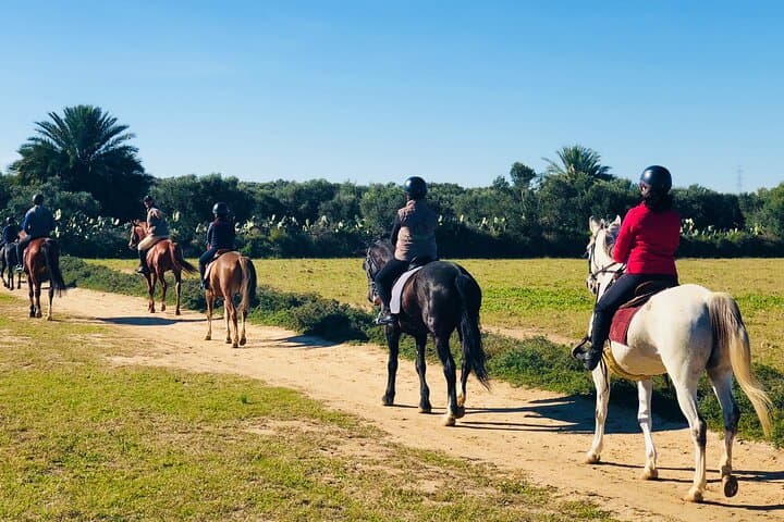 Horseback Riding with Private Transfer in Monastir: Beach & Countryside Ride photo 3