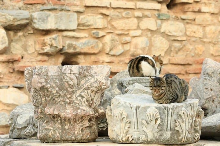 Ephesus Private Tour: Celsus Library, House of Virgin Mary & St. John’s Basilica photo 2