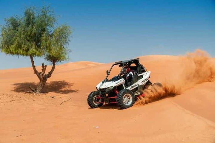Sinai Sand Buggy Safari from Sharm El Sheikh: 2-Hour Desert Adventure photo 4