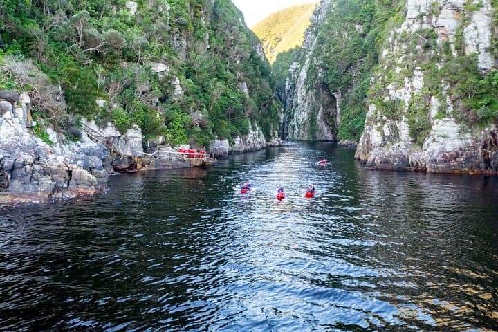Garden Route Private Tour: 3-Day Knysna, Tsitsikamma & Oudtshoorn Adventure from Cape Town photo 4