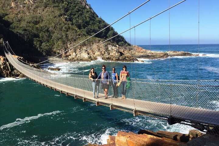 Garden Route Private Tour: 3-Day Knysna, Tsitsikamma & Oudtshoorn Adventure from Cape Town photo 6