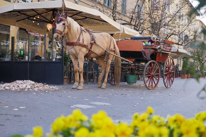 Explore Lucca: Complete City & Walls Walking Tour with Luigi