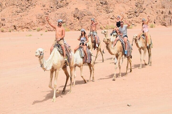 Sharm El-Sheikh Desert Quad & Camel Safari — 3-Hour Dune Adventure photo 3