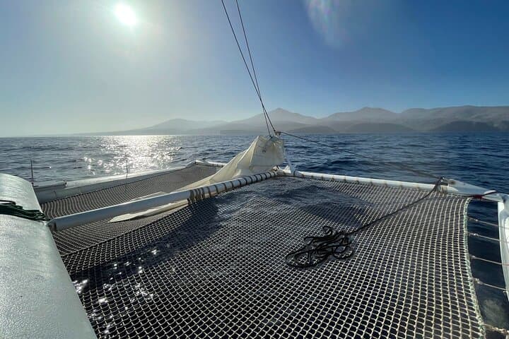 Silent Electric Catamaran Whale & Dolphin Watching with Hydrophone — Lanzarote