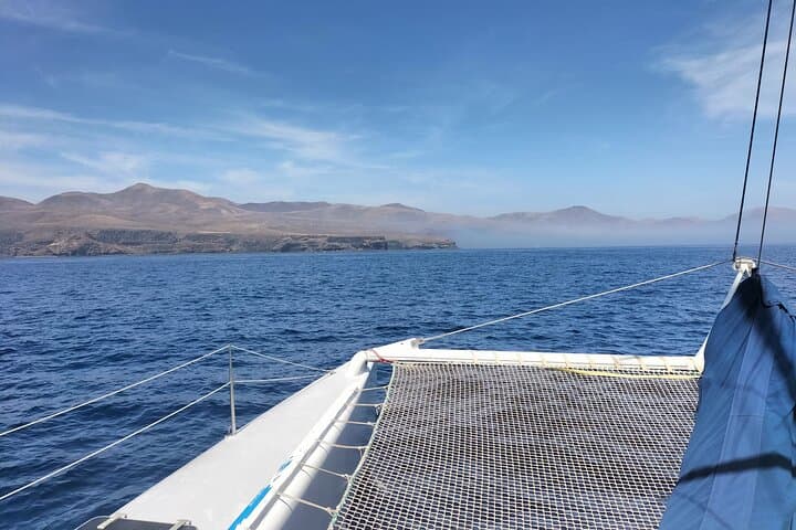 Silent Electric Catamaran Whale & Dolphin Watching with Hydrophone — Lanzarote photo 3