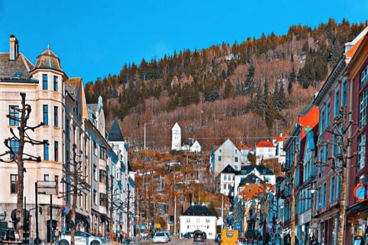 Exploring Bergen: Private Half-Day Walking Tour with Mount Floyen Funicular and Traditional Dinner photo 6