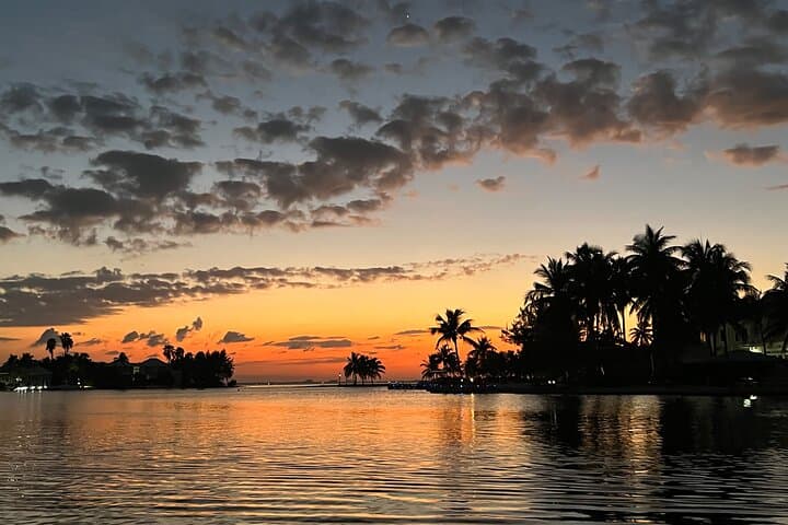 Private Bioluminescence Tour in Grand Cayman — Night Swim at Camana Bay photo 2