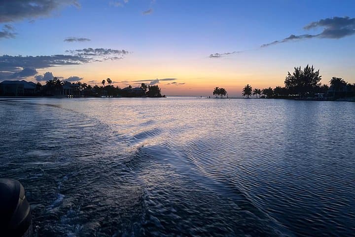 Private Bioluminescence Tour in Grand Cayman — Night Swim at Camana Bay photo 3