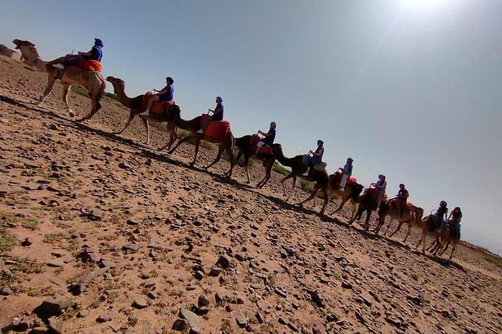 Atlas Mountains Day Trip: Camel Ride, Imlil Hike & Berber Village Experience photo 5