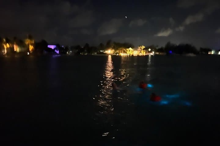 Private Bioluminescence Tour in Grand Cayman — Night Swim at Camana Bay photo 4