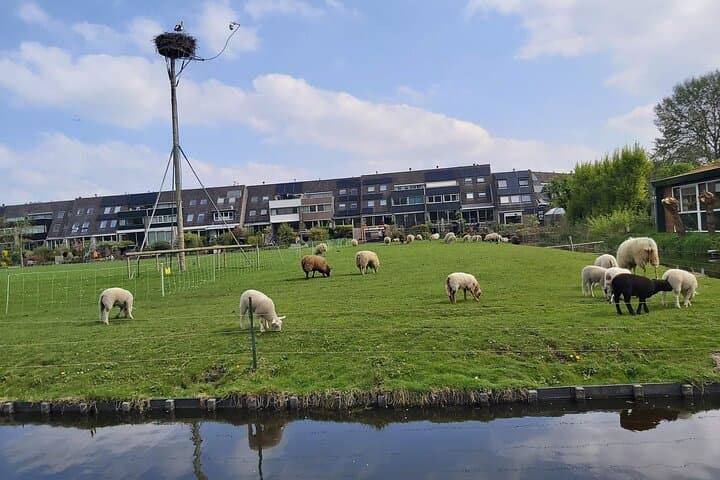 Leiden Polder Walk: Windmills, River Zijl & Broekdijk Mill photo 4