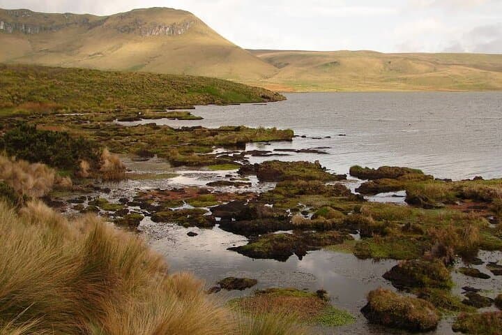 Antisana Volcano Birding and Hike: Private Andes Tour from Quito photo 3