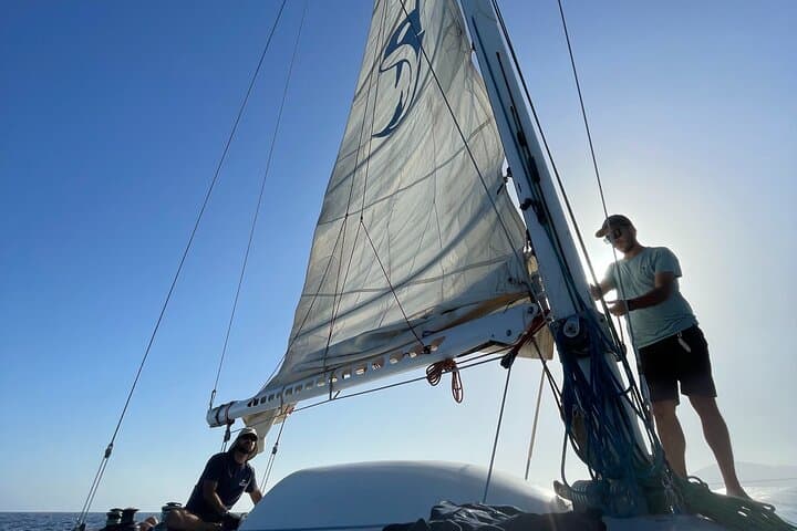 Silent Electric Catamaran Whale & Dolphin Watching with Hydrophone — Lanzarote photo 6