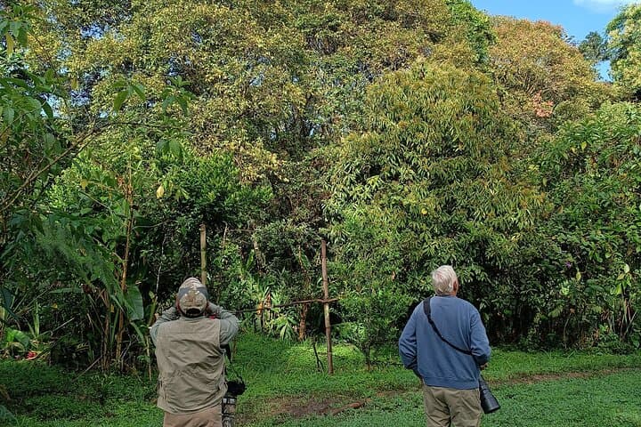 Mindo Cloud-Forest Birding and Naturalist Tour — Private Day Trip photo 3