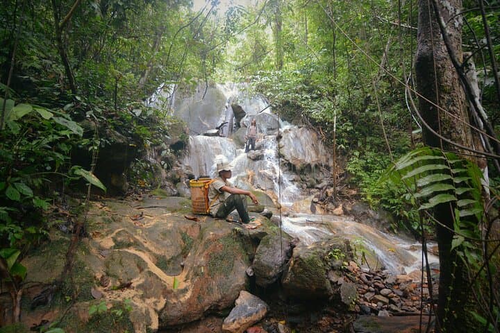 3-Day Survival Trek in the Leuser Ecosystem: Rainforest Camping & River Canoe
