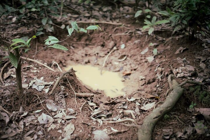 3-Day Survival Trek in the Leuser Ecosystem: Rainforest Camping & River Canoe photo 5