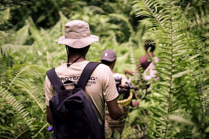 3-Day Survival Trek in the Leuser Ecosystem: Rainforest Camping & River Canoe photo 6