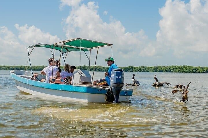 Celestún Biosphere Boat Tour from Mérida: Flamingos, Mangroves & Clay Baths