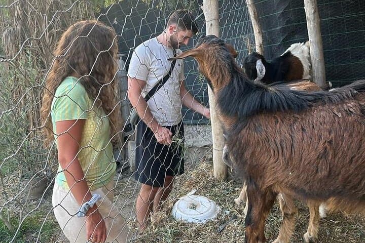 Agafay Desert Sunset Quad and Camel Dinner Experience from Marrakech photo 4