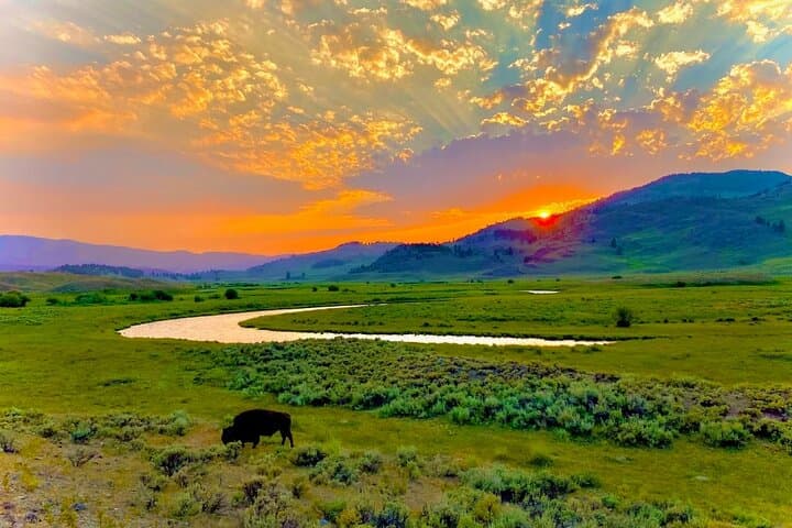 Sunrise Wildlife Adventure in Yellowstone's Lamar Valley: Private Guided Tour photo 5