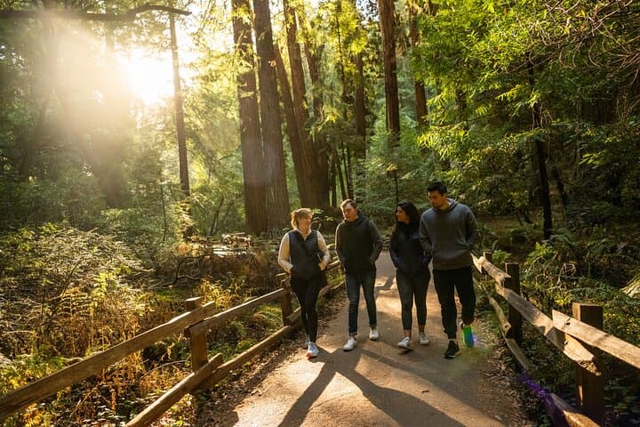 San Francisco to Muir Woods Shuttle — Direct Round-Trip to Coastal Redwoods photo 1