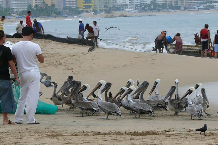 Private Transfer Mexico City to Acapulco with 2-Hour Cuernavaca Stop photo 5
