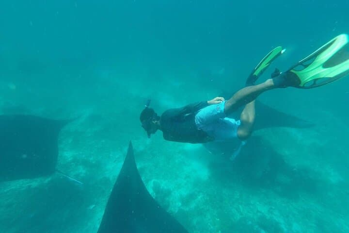 Full-Day Komodo Island Boat Trip — Padar, Pink Beach & Manta Point photo 5