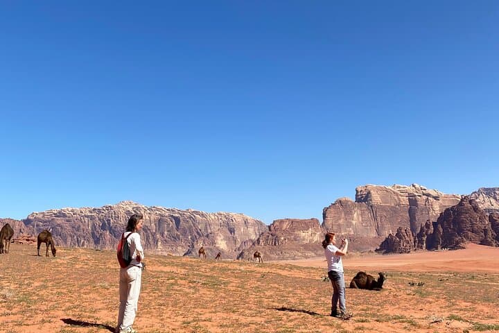 Wadi Rum Jeep Adventure: Overnight Bed & Breakfast Camp with Sunset Dunes photo 5
