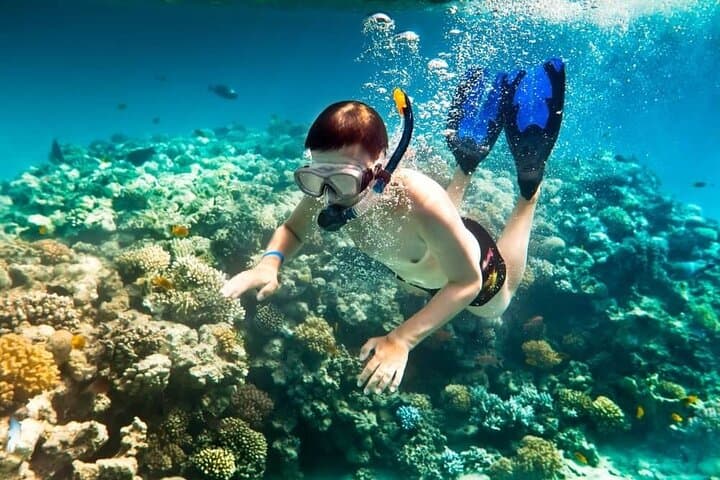 Snorkel and Fish in South Phu Quoc: Mong Tay & May Rut Trong Day Trip photo 2
