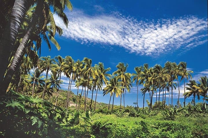 Reunion Island 8-Hour Private Tour: Top Natural & Cultural Sites by Private Guide photo 2
