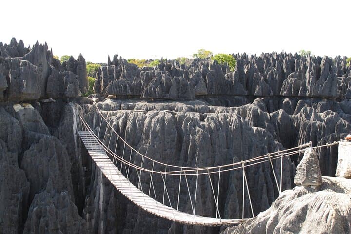 11-Day Madagascar Adventure: Lemurs, Baobabs & Tsingy de Bemaraha