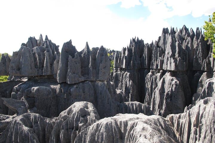 11-Day Madagascar Adventure: Lemurs, Baobabs & Tsingy de Bemaraha photo 4