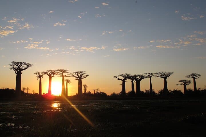 11-Day Madagascar Adventure: Lemurs, Baobabs & Tsingy de Bemaraha photo 5