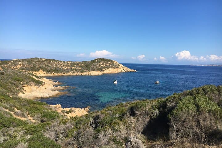 Boat Trip and Snorkeling in the Gulf of Calvi: Revellata Snorkel Excursion photo 5