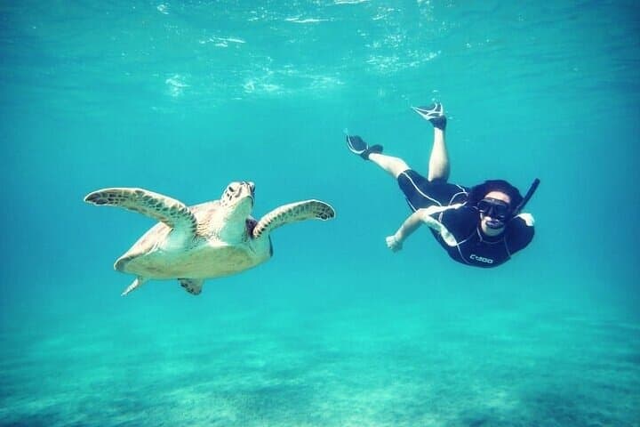 Abu Dabbab & Marsa National Park: Full-Day Private Snorkel Trip photo 2