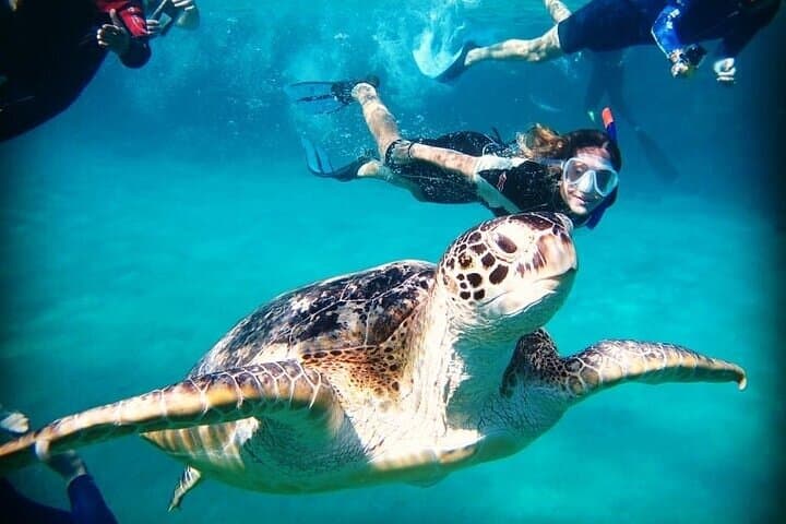 Abu Dabbab & Marsa National Park: Full-Day Private Snorkel Trip