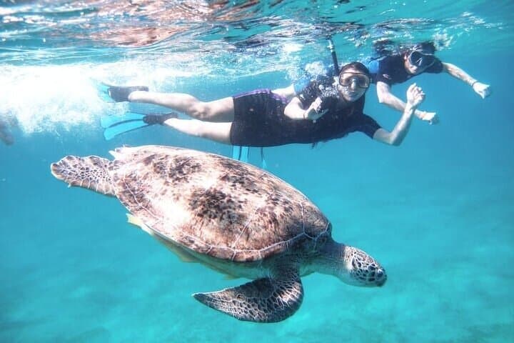 Abu Dabbab & Marsa National Park: Full-Day Private Snorkel Trip photo 3